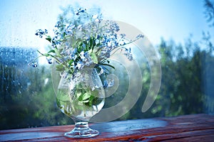 Vase with forget-me on the window