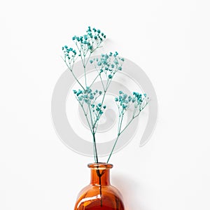 Vase of green baby`s breath, gypsophila dry flowers on white background