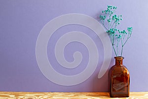 Vase of green baby`s breath, gypsophila dry flowers on wooden table. purple wall background