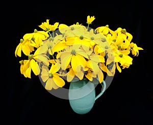 Vase with green headed rudbeckia flowers