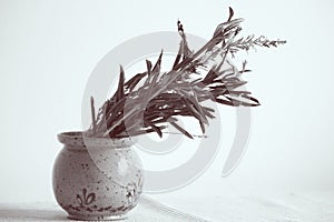 Vase and herbals