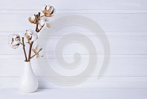 Vase mit cotton flowers