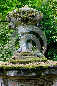 Vase moss park Villa Pisani, Stra, Veneto, Italy photo