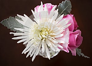 Vase with one white chrysanthemum and pink roses