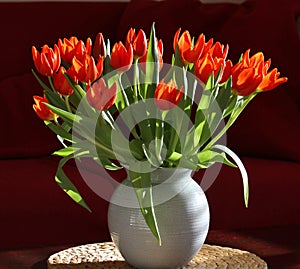 Vase of Orange Tulips in Modern Interior