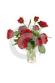 Vase of Red Roses