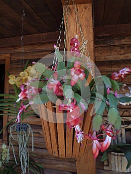 Vase with red silk flowers photo