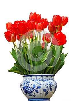 Vase with red Tulips