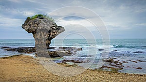 Vase Rock was formed by the rising of coastal coral reef, just off Liuqiu Island