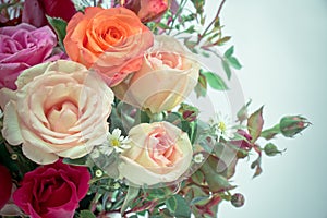 Vase of Roses bouquet on white background