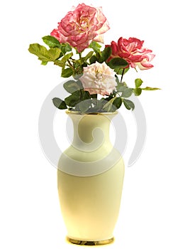 Vase of roses spring flowers