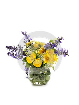 Vase with spring field flowers on a white background