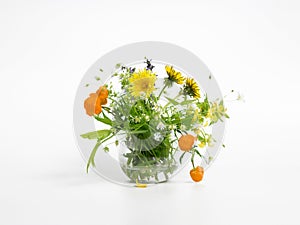 Vase with spring field flowers on a white background, yellow and orange flowers