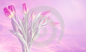 Vase of tulips with dreamy colours and soft pink background