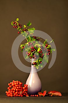 Vase with twigs and berries.