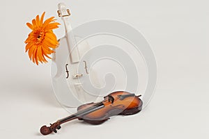 Vase violin and violin original