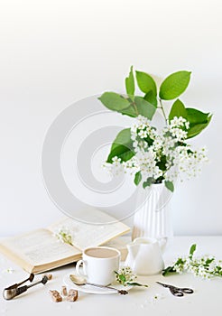 Vase with White Flowers Bird Cherry Tree, Morning, Cup with Coffee, Old Book