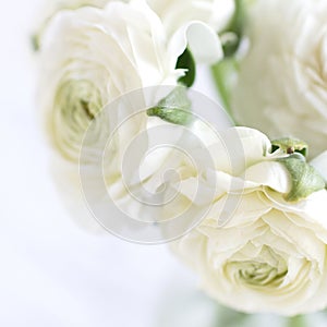 Vase of white rose wedding bouquet close up