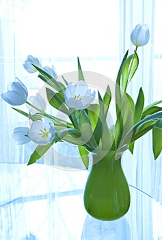 Vase of white tulips