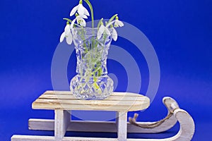 vase on a wooden sled on a blue background