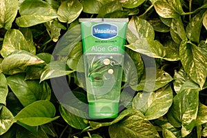 Vaseline Aloe Vera gel kept on leaves