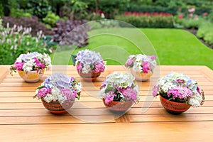 Vases with blooming flowers on teak table
