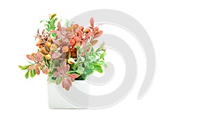 Vases of flowers, Artificial orange and green flower bouquet with white vase isolated on white background. Copy space,
