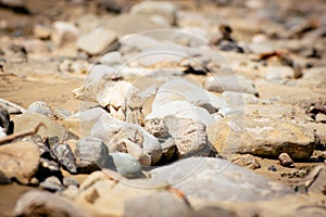 Vashlovani national park protected areas in Georgia