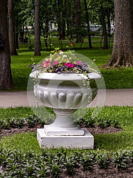 The Flowerpot With Flowers In The Park photo