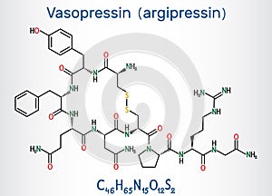 Vasopressin, arginine vasopressin AVP or argipressin molecule. It is antidiuretic hormone ADH synthesized as a peptide prohormone photo