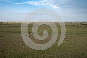 Vast area of the Masaai Mara Reserve, with impala herd. Aerial view. Kenya, East Africa safari