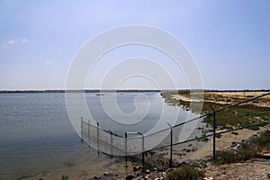 Vast blue ocean water with a black metal fence leading into the water with lush green plants and grass on the banks