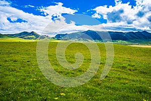 Scenery of Ruoergai grassland in early autumn