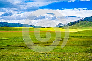 Scenery of Ruoergai grassland in early autumn