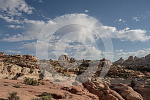 Vast Desert Scene along Fryingpan Trail