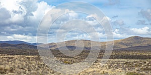 Volcanic Loop Hwy in Manawatu-Wanganui, New Zealand photo