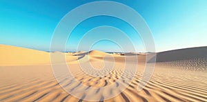 Vast expanse of rippled sands, vibrant blue sky overhead, seamless, texture