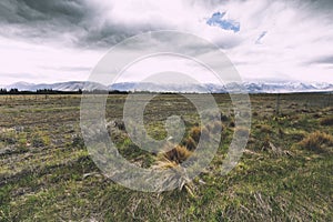 A vast farmland with mountain in the background.