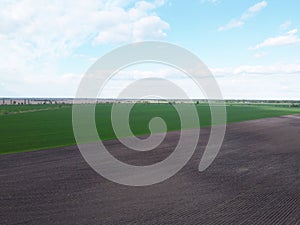 Vast farmland on a sunny day, aerial view. Sown agricultural field