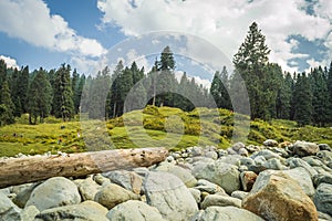 A vast field of round boulders of a river bed in a landscape in Doodhpathri, Kashmir. A log of wood lumbered