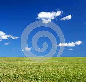 Vast green grass field and blue sky eco-friendly c photo