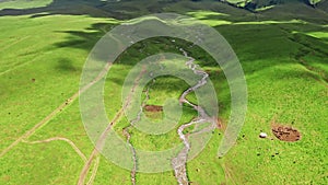 Vast grassland and horses in a fine day