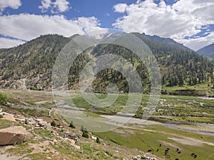 Vast green meadows and mountains