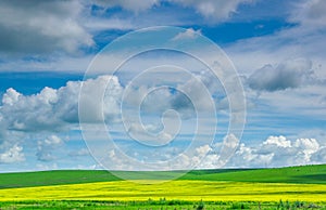 Vast green prairie