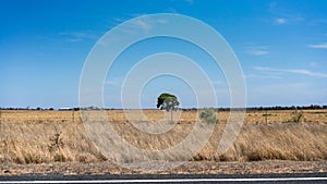 The Vast Landscape Of Australia