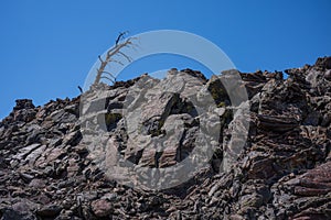 Vast landscape of Craters of the Moon National Monument and Preserve near Arco, Idaho