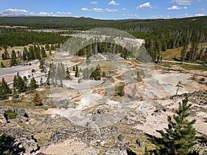Vast landscape with trees and pools at Yellowstone National Park