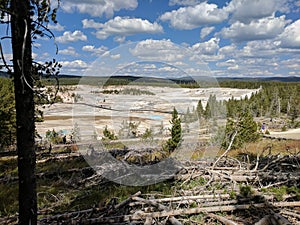 Vast landscape at Yellowstone National Park