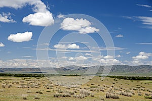 Vast Mongolian Landscape photo