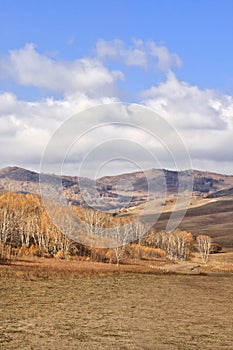 Vast Mongolian steppe with a blue cloudy sky, Mulan Weichang, China